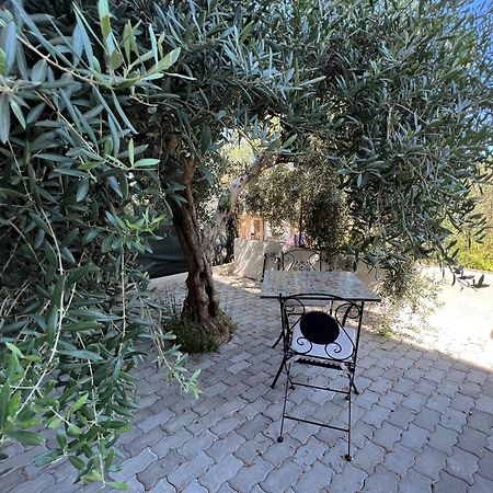 Appartamento L'Ulivo برانساليوني مارينا المظهر الخارجي الصورة