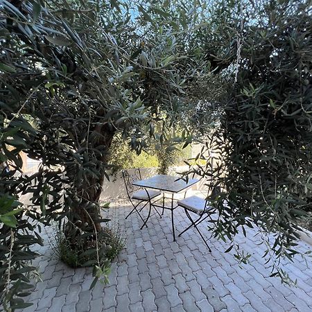 Appartamento L'Ulivo برانساليوني مارينا المظهر الخارجي الصورة