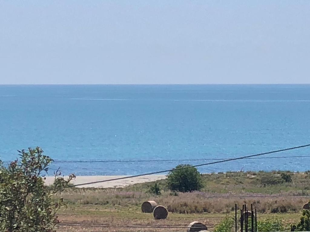 Appartamento L'Ulivo برانساليوني مارينا المظهر الخارجي الصورة