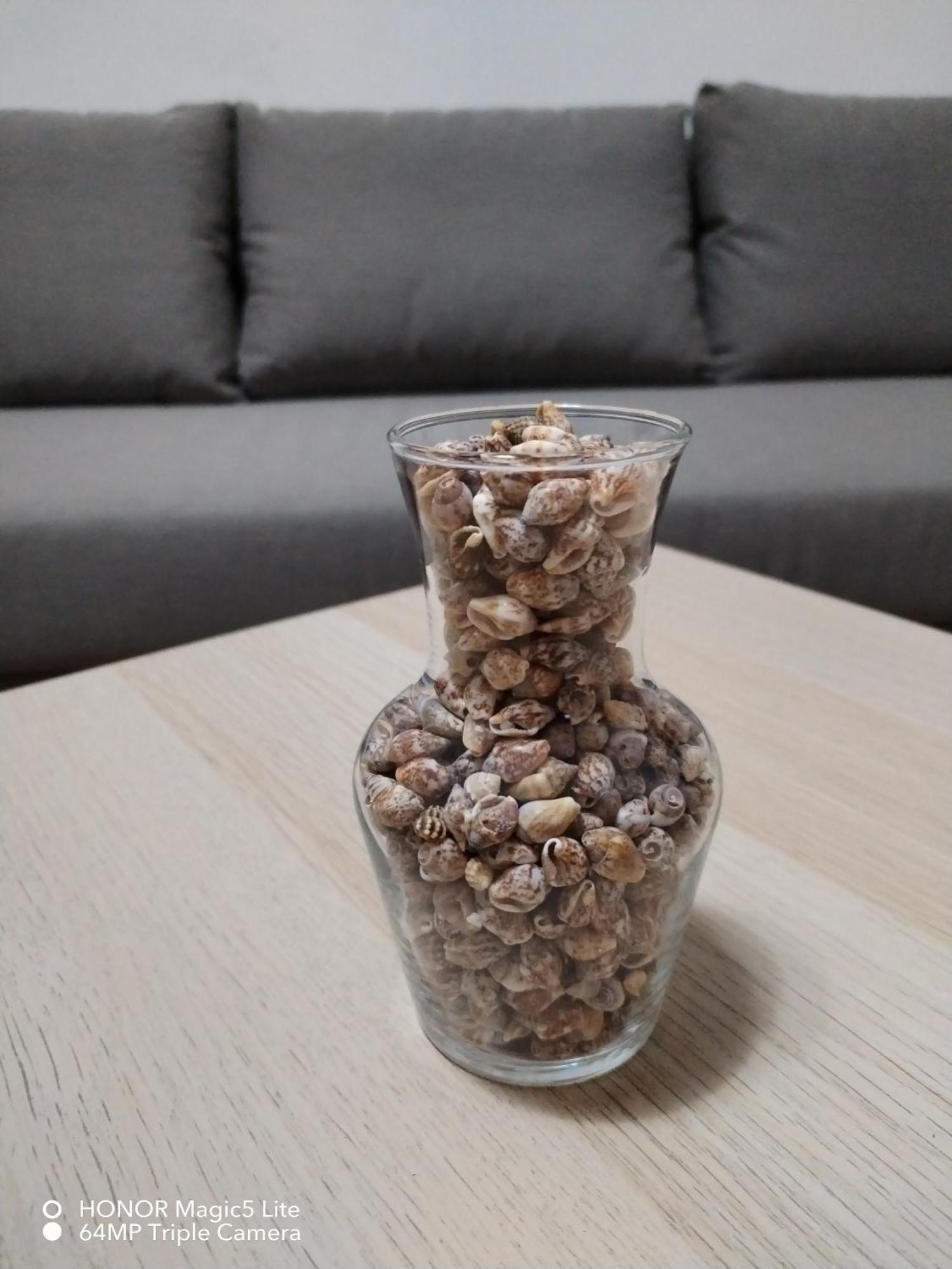 Appartamento L'Ulivo برانساليوني مارينا المظهر الخارجي الصورة