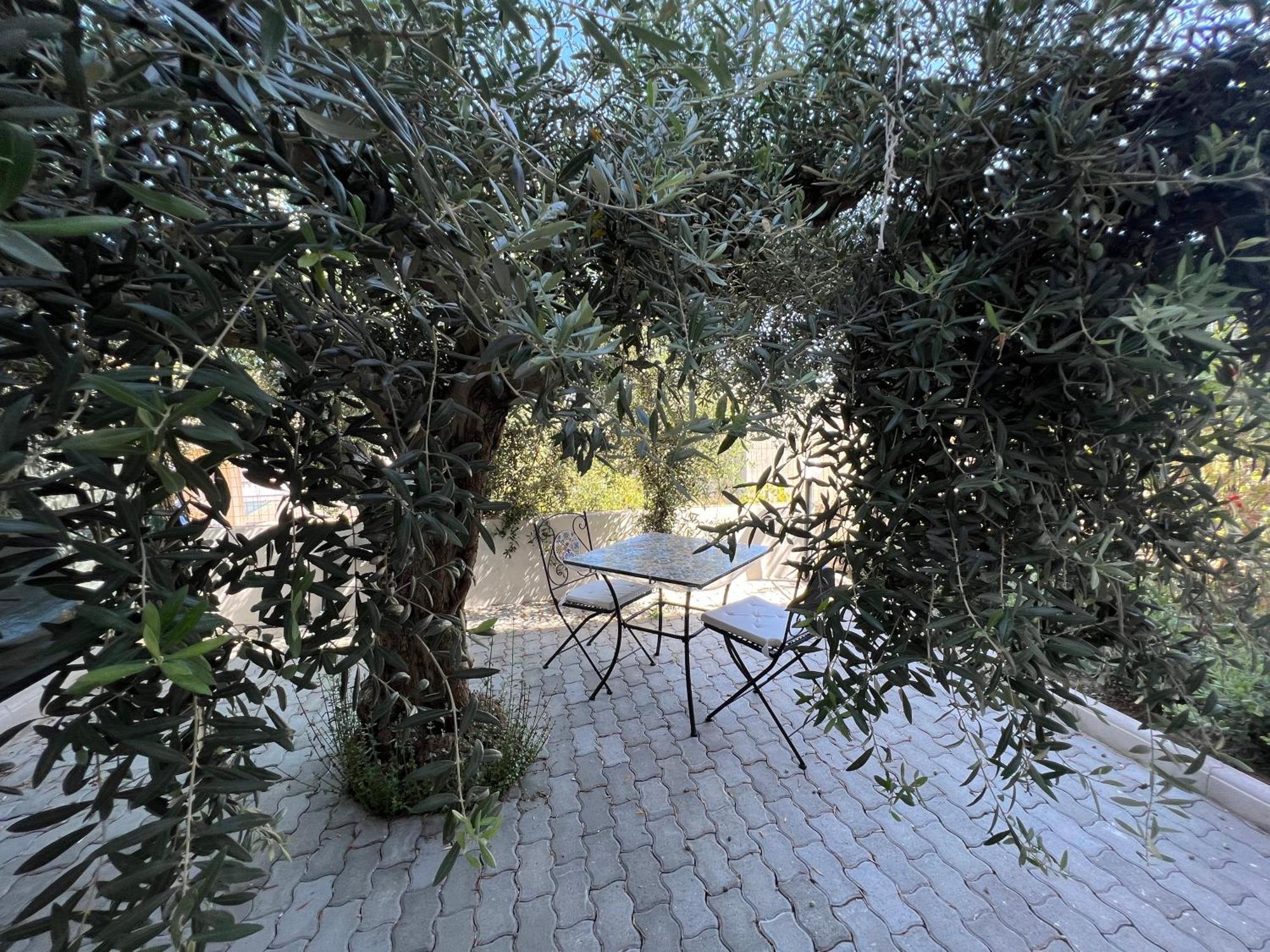 Appartamento L'Ulivo برانساليوني مارينا المظهر الخارجي الصورة